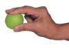 Exercise Ball