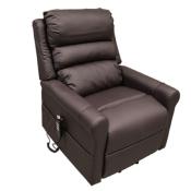 Fauteuil monomoteur Stylea I similicuir